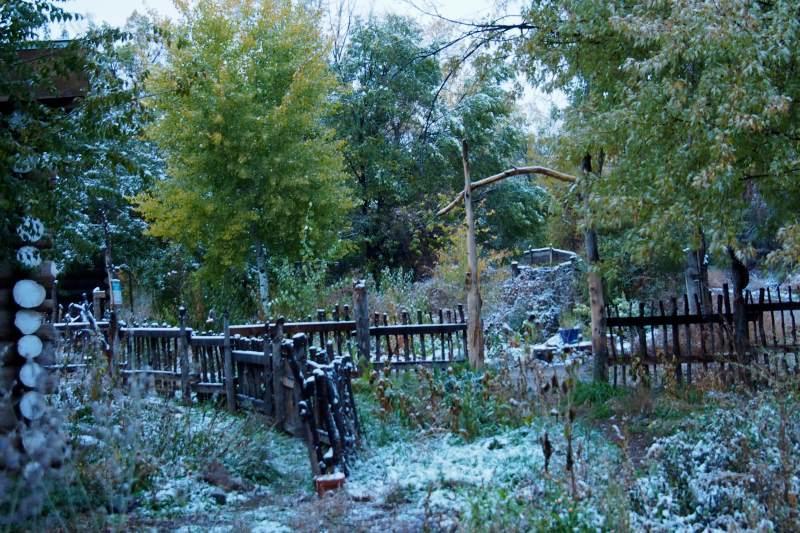 Taos Goji Farm & Eco-Lodge Retreat Arroyo Seco Esterno foto