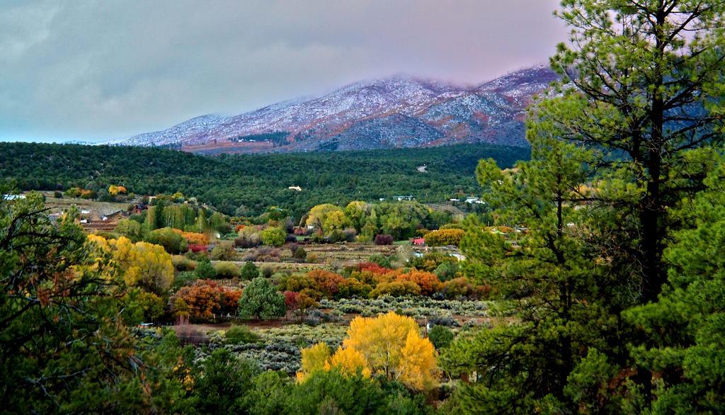 Taos Goji Farm & Eco-Lodge Retreat Arroyo Seco Esterno foto