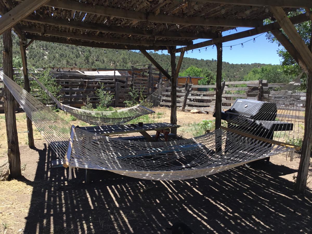 Taos Goji Farm & Eco-Lodge Retreat Arroyo Seco Esterno foto